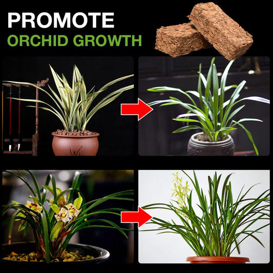 🔥New Product🔥Orchid specific small coconut shell brick nutrient soil(BUY MORE SAVE MORE)