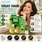 🏆 Last Day Special Price 29.99! 💇‍♀️Long‑Lasting Plant‑Based Foam Hair Dye｜Ammonia‑Free Easy DIY At‑Home Foam Hair Color