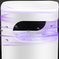 Summer Hot Sale🦟UV Fly Trap With Transparent Catch Box