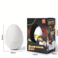 Magic Hatching and Growing Pet Egg Toy
