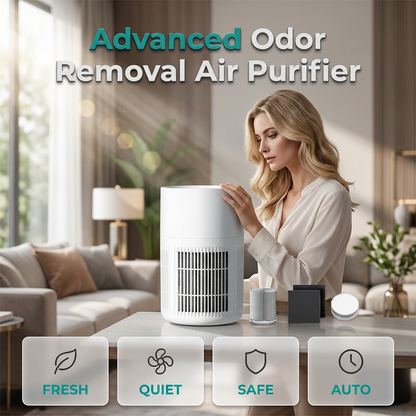 Small Air Purifier for Odor Removal