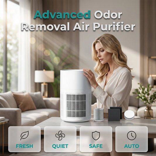 Small Air Purifier for Odor Removal