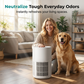 Small Air Purifier for Odor Removal
