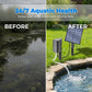 🔥40% OFF!!✈️ Free Shipping🔥 Solar Pond Aerator with Air Pump