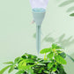 🔥Buy 1 Get 1 Free🔥Adjustable Plant Self-Watering Insert Spike