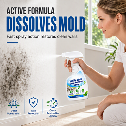 🦠✨ Wall Mold Remover Spray – Fast-Acting, Deep Penetration, Spotless White Walls! 🧴🏠