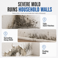 🦠✨ Wall Mold Remover Spray – Fast-Acting, Deep Penetration, Spotless White Walls! 🧴🏠