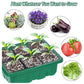 Mini Greenhouse Nursery Tray（50% OFF）