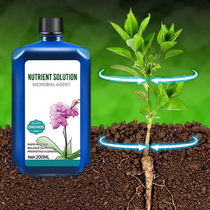 Plant Concentrated Nutrient Solution