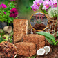 🔥New Product🔥Orchid specific small coconut shell brick nutrient soil（BUY MORE SAVE MORE）