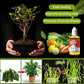 Plant Growth Enhancer Supplement - BUY 2 GET 1 FREE
